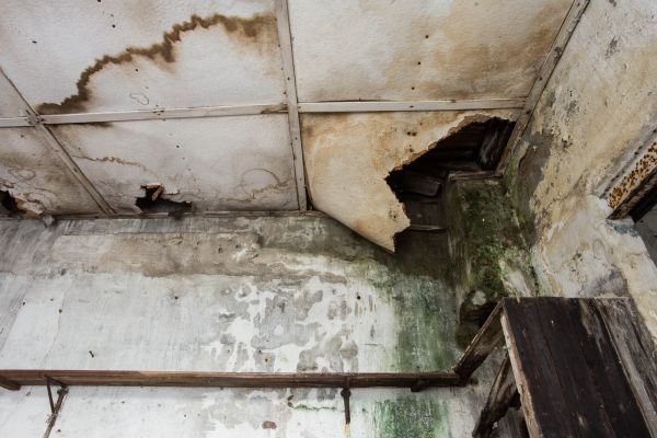 Cost of Water Damage Service in Lynnwood