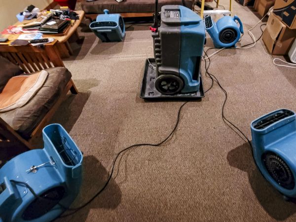 Cost of Flood Damage Recovery in Lynnwood