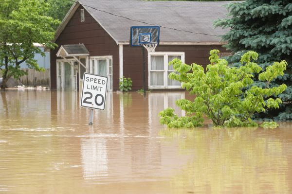 Cost of Storm Restoration Service in Lynnwood