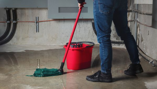 Cost of Flooded Basement Cleanup in Lynnwood