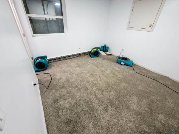 Cost of Flood Restoration Service in Lynnwood