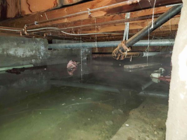 Cost of Water Mitigation Service in Lynnwood