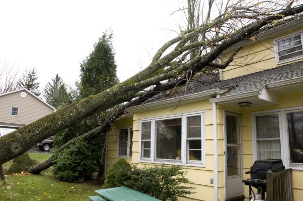 Hurricane Damage Repair in Lynnwood