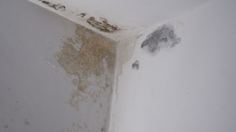Water Intrusion